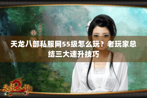 天龙八部私服网55级怎么玩?老玩家总结三大速升技巧 天龙八部私服网55级怎么玩?老玩家总结三大速升技巧