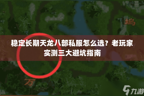 稳定长期天龙八部私服怎么选？老玩家实测三大避坑指南