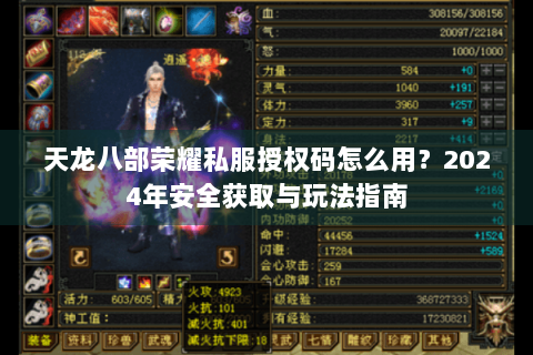 天龙八部荣耀私服授权码怎么用？2024年安全获取与玩法指南