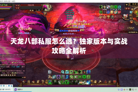 天龙八部私服怎么选?独家版本与实战攻略全解析 天龙八部私服怎么选?独家版本与实战攻略全解析