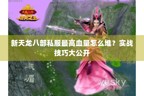 新天龙八部私服最高血量怎么堆?实战技巧大公开 新天龙八部私服最高血量怎么堆?实战技巧大公开
