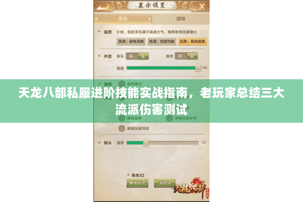 天龙八部私服进阶技能实战指南,老玩家总结三大流派伤害测试 天龙八部私服进阶技能实战指南,老玩家总结三大流派伤害测试