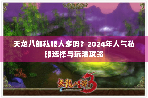 天龙八部私服人多吗？2024年人气私服选择与玩法攻略
