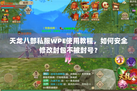 天龙八部私服WPE使用教程,如何安全修改封包不被封号? 天龙八部私服WPE使用教程,如何安全修改封包不被封号?