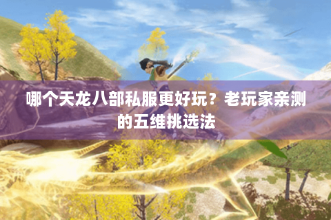 哪个天龙八部私服更好玩？老玩家亲测的五维挑选法