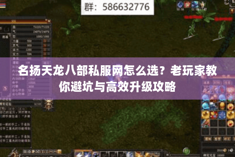 名扬天龙八部私服网怎么选?老玩家教你避坑与高效升级攻略 名扬天龙八部私服网怎么选?老玩家教你避坑与高效升级攻略