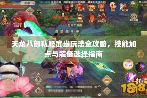 天龙八部私服武当玩法全攻略，技能加点与装备选择指南