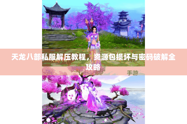 天龙八部私服解压教程,资源包损坏与密码破解全攻略 天龙八部私服解压教程,资源包损坏与密码破解全攻略