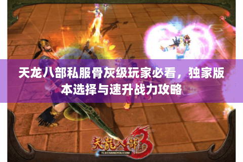 天龙八部私服骨灰级玩家必看,独家版本选择与速升战力攻略 天龙八部私服骨灰级玩家必看,独家版本选择与速升战力攻略