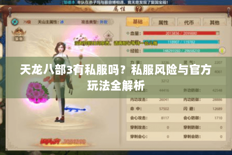 天龙八部3有私服吗？私服风险与官方玩法全解析