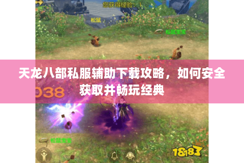 天龙八部私服辅助下载攻略,如何安全获取并畅玩经典 天龙八部私服辅助下载攻略,如何安全获取并畅玩经典