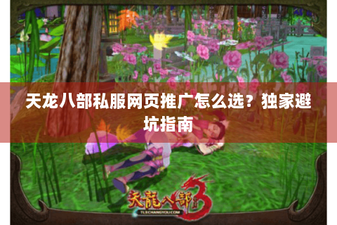 天龙八部私服网页推广怎么选？独家避坑指南