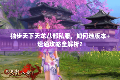 独步天下天龙八部私服，如何选版本+速通攻略全解析？