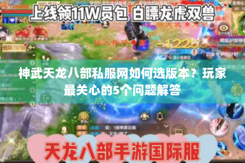 神武天龙八部私服网如何选版本？玩家最关心的5个问题解答
