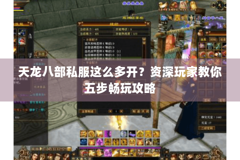天龙八部私服这么多开?资深玩家教你五步畅玩攻略 天龙八部私服这么多开?资深玩家教你五步畅玩攻略