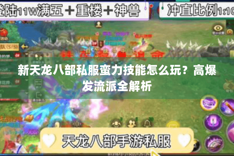 新天龙八部私服蛮力技能怎么玩？高爆发流派全解析