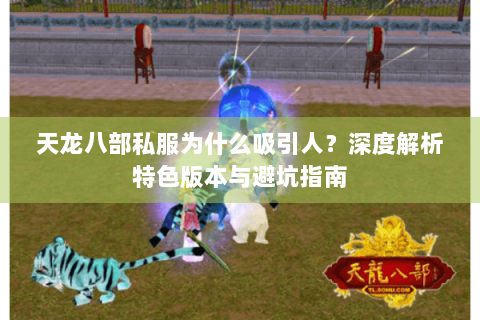 天龙八部私服为什么吸引人？深度解析特色版本与避坑指南