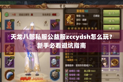 天龙八部私服公益服zccydsh怎么玩?新手必看避坑指南 天龙八部私服公益服zccydsh怎么玩?新手必看避坑指南