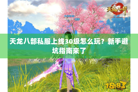 天龙八部私服上线30级怎么玩?新手避坑指南来了 天龙八部私服上线30级怎么玩?新手避坑指南来了