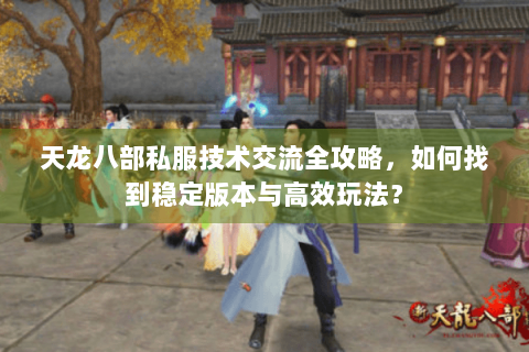 天龙八部私服技术交流全攻略，如何找到稳定版本与高效玩法？