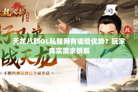 天龙八部OL私服网有哪些优势？玩家真实需求拆解