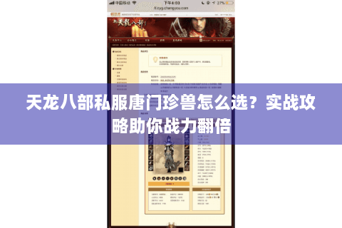 天龙八部私服唐门珍兽怎么选?实战攻略助你战力翻倍 天龙八部私服唐门珍兽怎么选?实战攻略助你战力翻倍