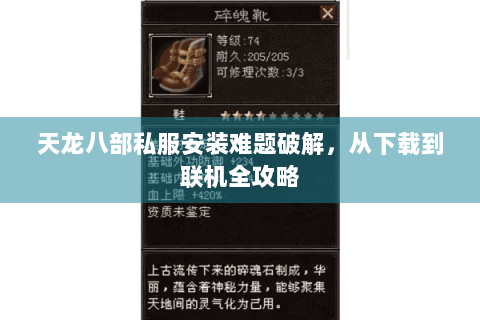 天龙八部私服安装难题破解，从下载到联机全攻略