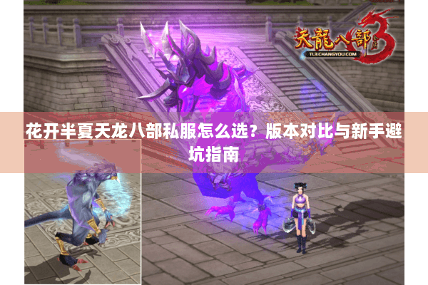 花开半夏天龙八部私服怎么选？版本对比与新手避坑指南