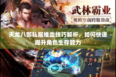 天龙八部私服堆血技巧解析,如何快速提升角色生存能力 天龙八部私服堆血技巧解析,如何快速提升角色生存能力