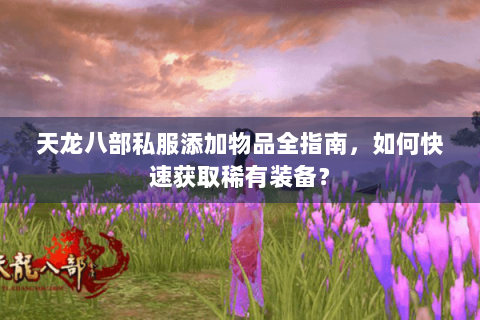 天龙八部私服添加物品全指南，如何快速获取稀有装备？