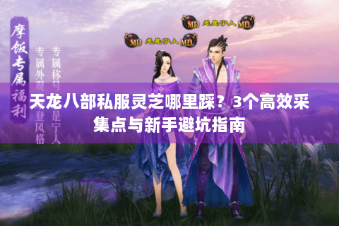 天龙八部私服灵芝哪里踩？3个高效采集点与新手避坑指南