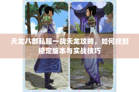 天龙八部私服一战天龙攻略，如何找到稳定版本与实战技巧