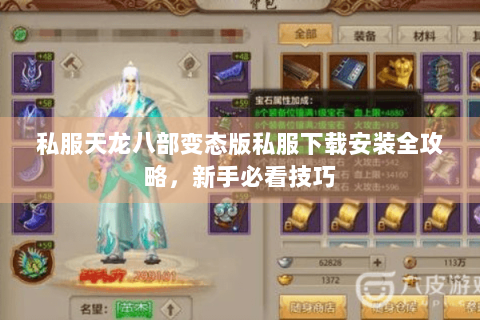 私服天龙八部变态版私服下载安装全攻略，新手必看技巧