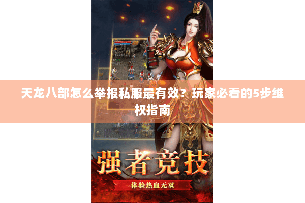 天龙八部怎么举报私服最有效？玩家必看的5步维权指南