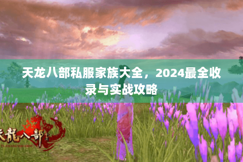 天龙八部私服家族大全，2024最全收录与实战攻略