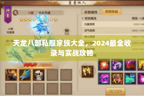 天龙八部私服家族大全，2024最全收录与实战攻略