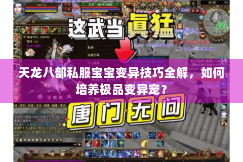 天龙八部私服宝宝变异技巧全解，如何培养极品变异宠？