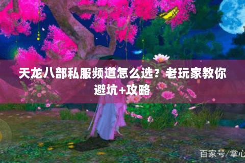 天龙八部私服频道怎么选？老玩家教你避坑+攻略