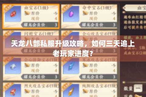 天龙八部私服升级攻略,如何三天追上老玩家进度? 天龙八部私服升级攻略,如何三天追上老玩家进度?