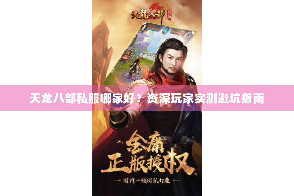 天龙八部私服哪家好？资深玩家实测避坑指南