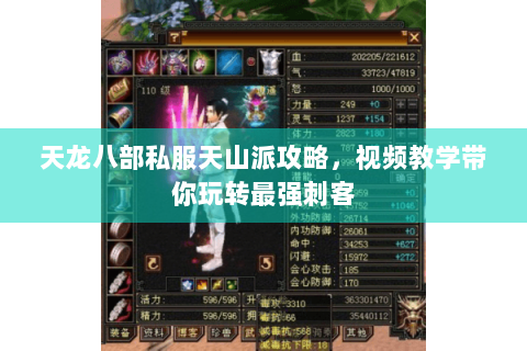 天龙八部私服天山派攻略，视频教学带你玩转最强刺客