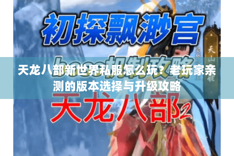 天龙八部新世界私服怎么玩?老玩家亲测的版本选择与升级攻略 天龙八部新世界私服怎么玩?老玩家亲测的版本选择与升级攻略