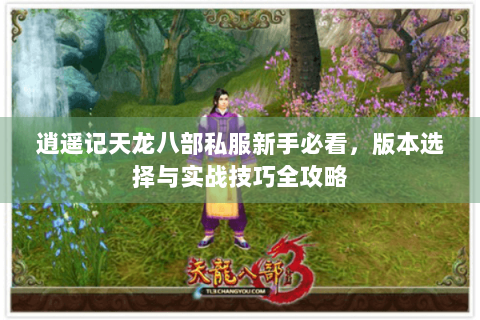 逍遥记天龙八部私服新手必看,版本选择与实战技巧全攻略 逍遥记天龙八部私服新手必看,版本选择与实战技巧全攻略