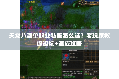 天龙八部单职业私服怎么选？老玩家教你避坑+速成攻略