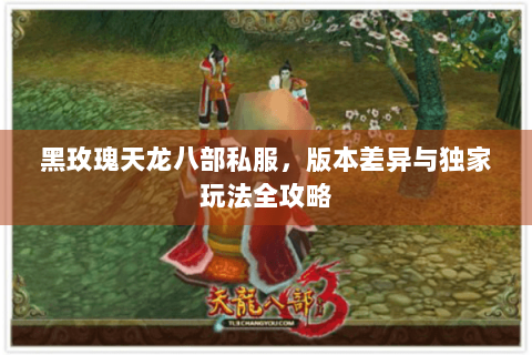 黑玫瑰天龙八部私服,版本差异与独家玩法全攻略 黑玫瑰天龙八部私服,版本差异与独家玩法全攻略