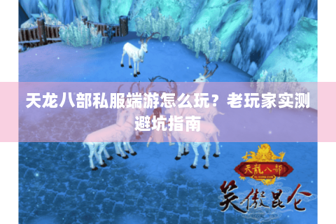 天龙八部私服端游怎么玩？老玩家实测避坑指南