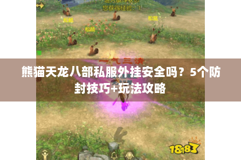 熊猫天龙八部私服外挂安全吗?5个防封技巧+玩法攻略 熊猫天龙八部私服外挂安全吗?5个防封技巧+玩法攻略