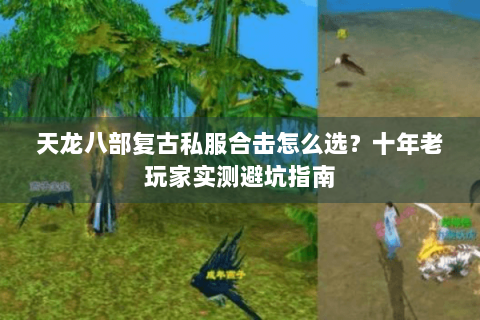 天龙八部复古私服合击怎么选?十年老玩家实测避坑指南 天龙八部复古私服合击怎么选?十年老玩家实测避坑指南