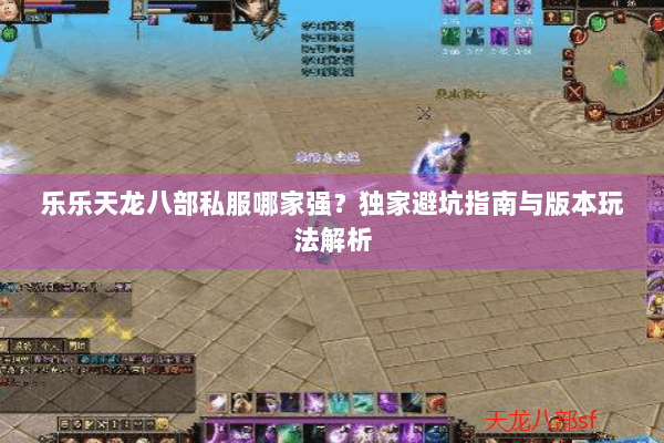 乐乐天龙八部私服哪家强？独家避坑指南与版本玩法解析