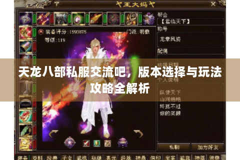天龙八部私服交流吧，版本选择与玩法攻略全解析